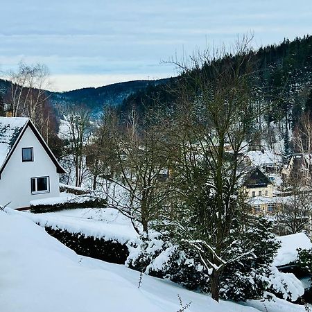 Urige Berghuette Mit Kamin Und Sauna Im Erzgebirge Nahe Schwarzwassertal 포베르샤우 외부 사진
