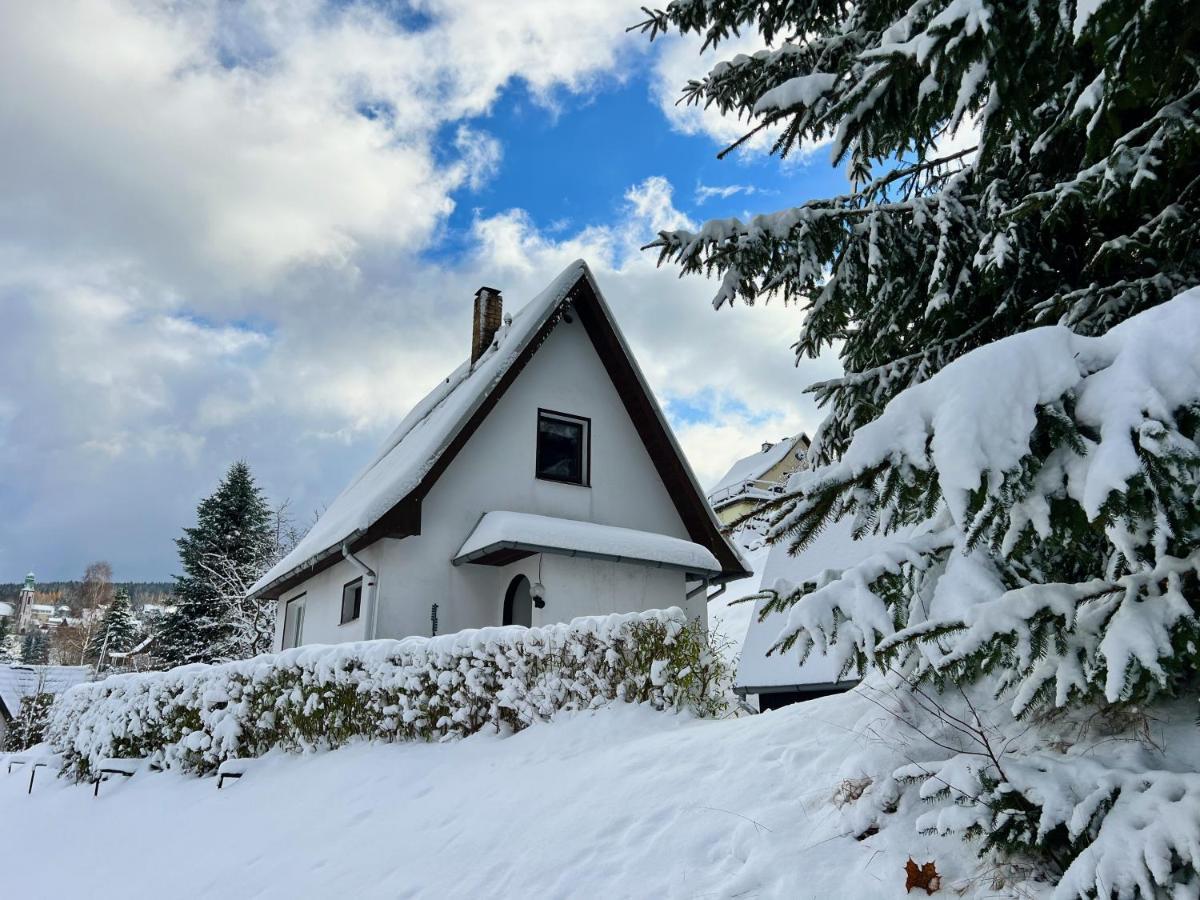 Urige Berghuette Mit Kamin Und Sauna Im Erzgebirge Nahe Schwarzwassertal 포베르샤우 외부 사진