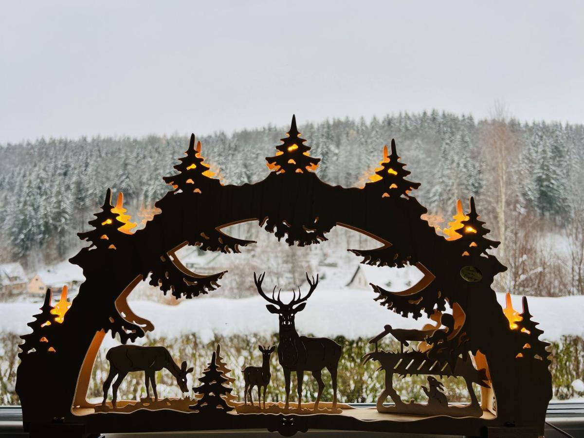Urige Berghuette Mit Kamin Und Sauna Im Erzgebirge Nahe Schwarzwassertal 포베르샤우 외부 사진