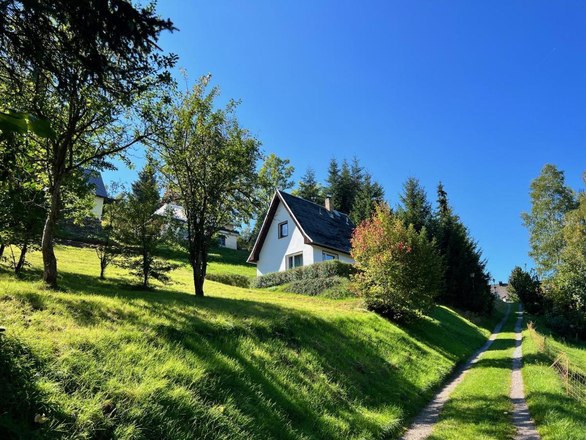 Urige Berghuette Mit Kamin Und Sauna Im Erzgebirge Nahe Schwarzwassertal 포베르샤우 외부 사진