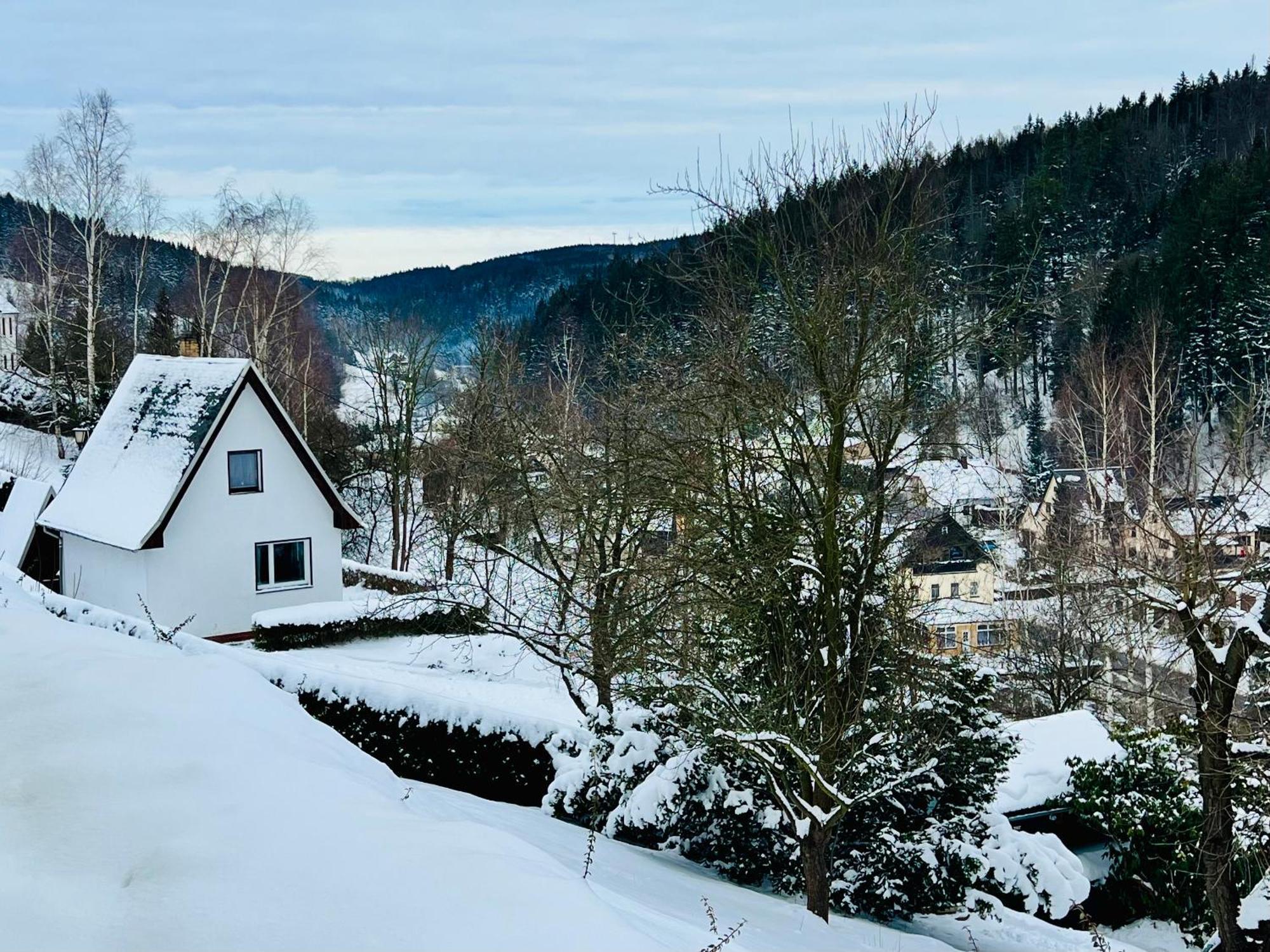 Urige Berghuette Mit Kamin Und Sauna Im Erzgebirge Nahe Schwarzwassertal 포베르샤우 외부 사진